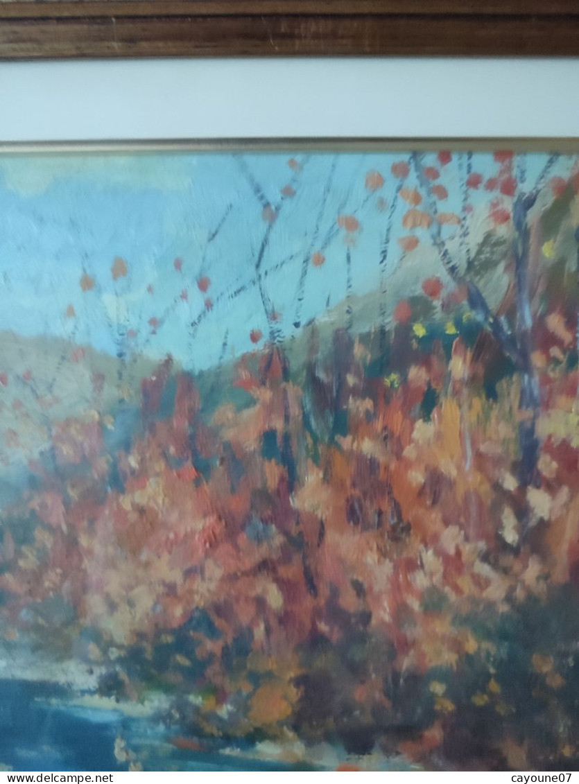 G. TRIBAUDINO (XXème) huile sur papier  "La rivière " datée 1972 sous verre cadre bois doré