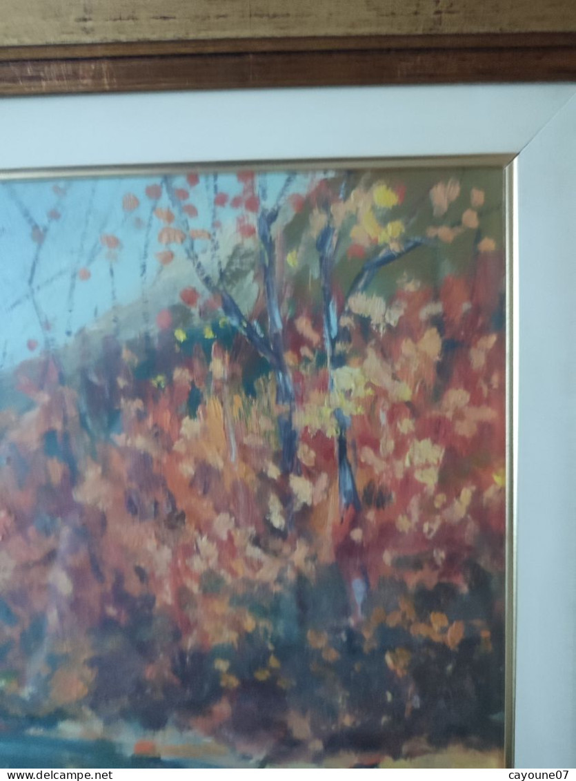 G. TRIBAUDINO (XXème) huile sur papier  "La rivière " datée 1972 sous verre cadre bois doré