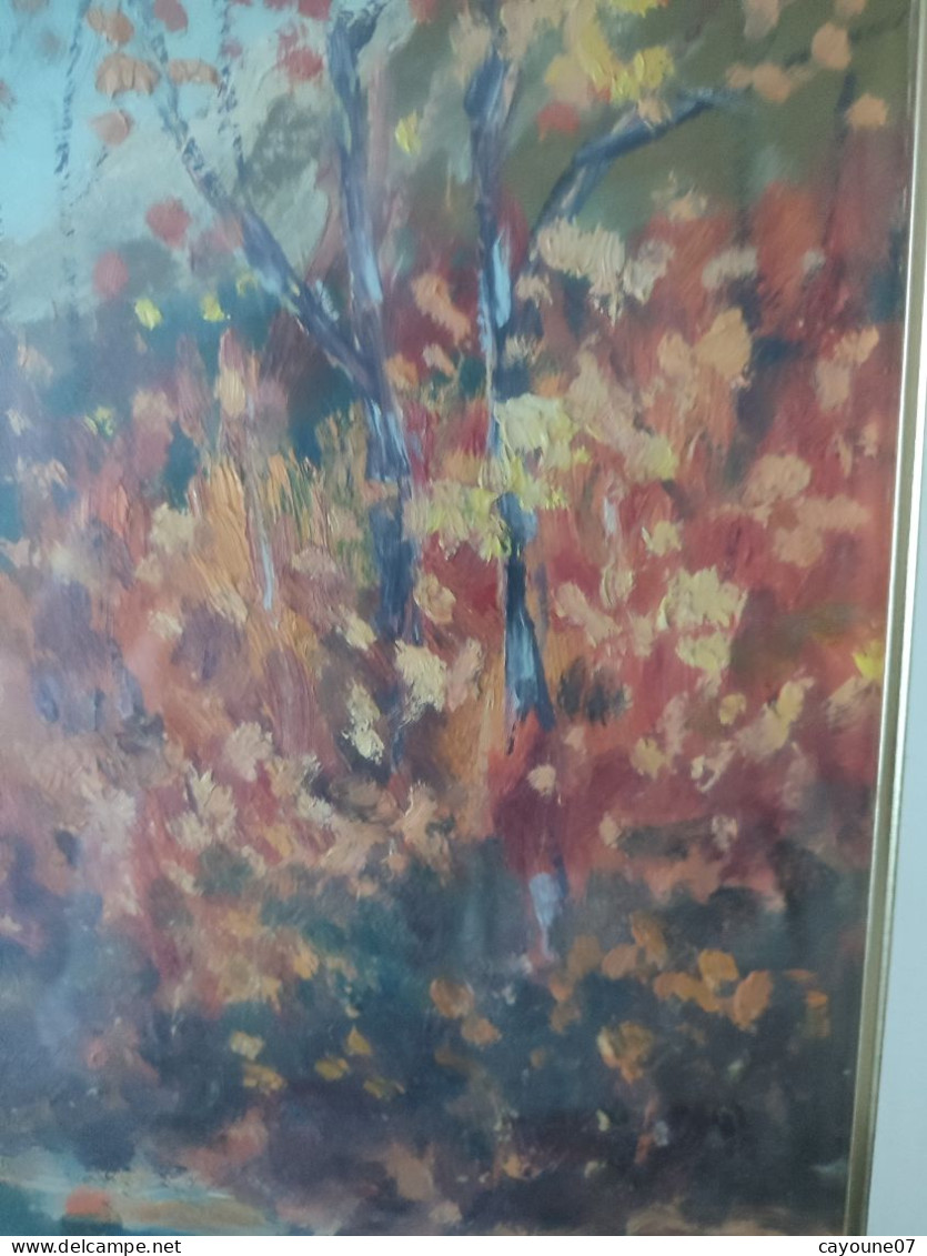 G. TRIBAUDINO (XXème) huile sur papier  "La rivière " datée 1972 sous verre cadre bois doré