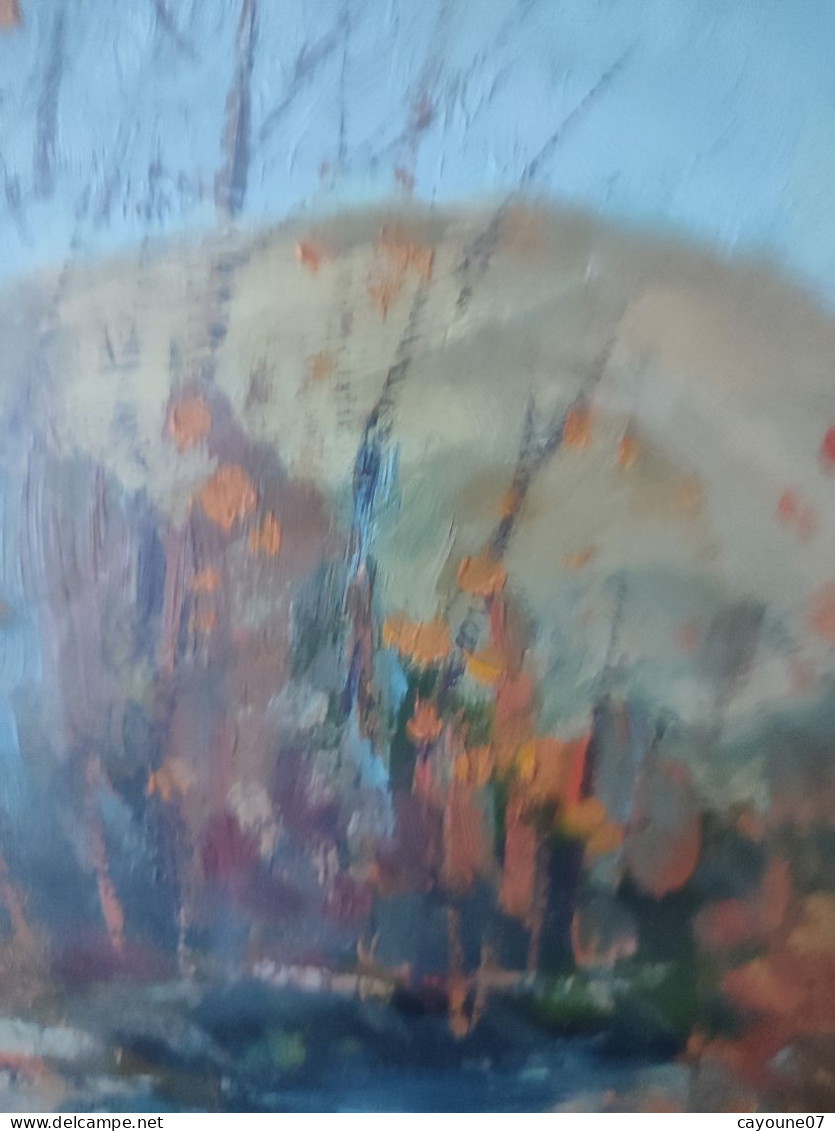 G. TRIBAUDINO (XXème) huile sur papier  "La rivière " datée 1972 sous verre cadre bois doré