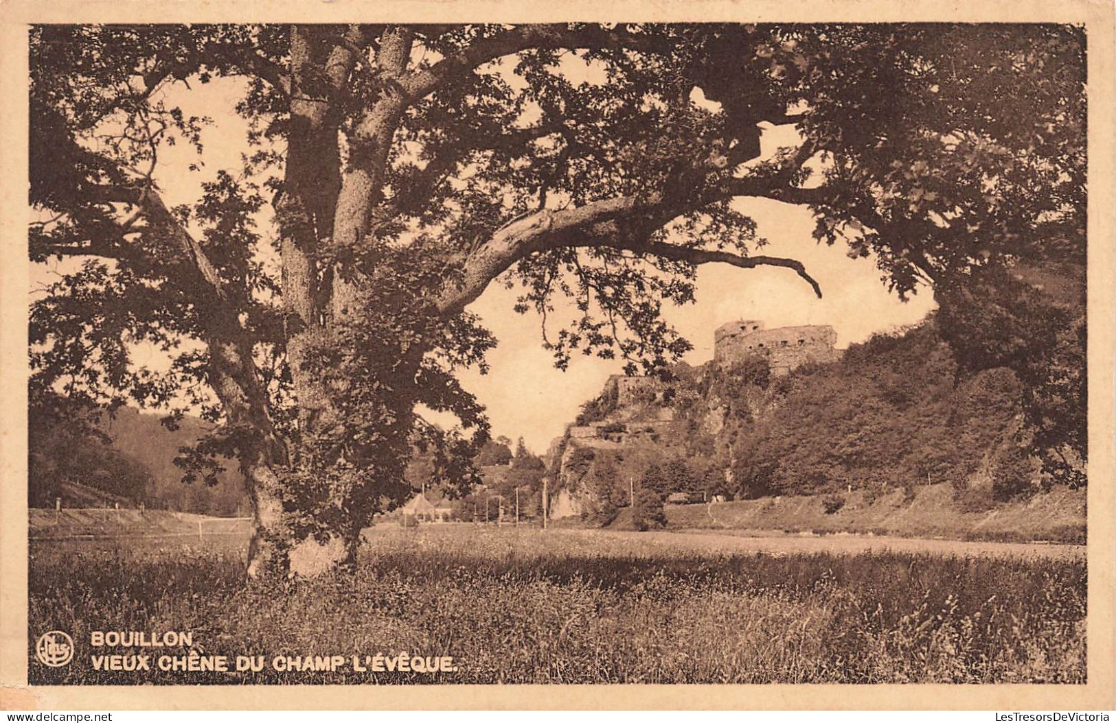 BELGIQUE - Bouillon - Vieux Chêne Du Champ L'évêque - Carte Postale Ancienne - Bouillon