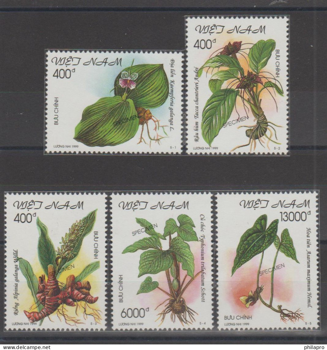 VIET NAM  1999  SPECIMEN - PLANTES  **MNH - Viêt-Nam