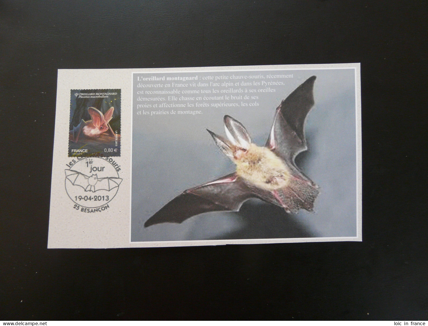 Carte FDC Card Chauve-souris Bat Besançon 25 Doubs France 2013 - Chauve-souris