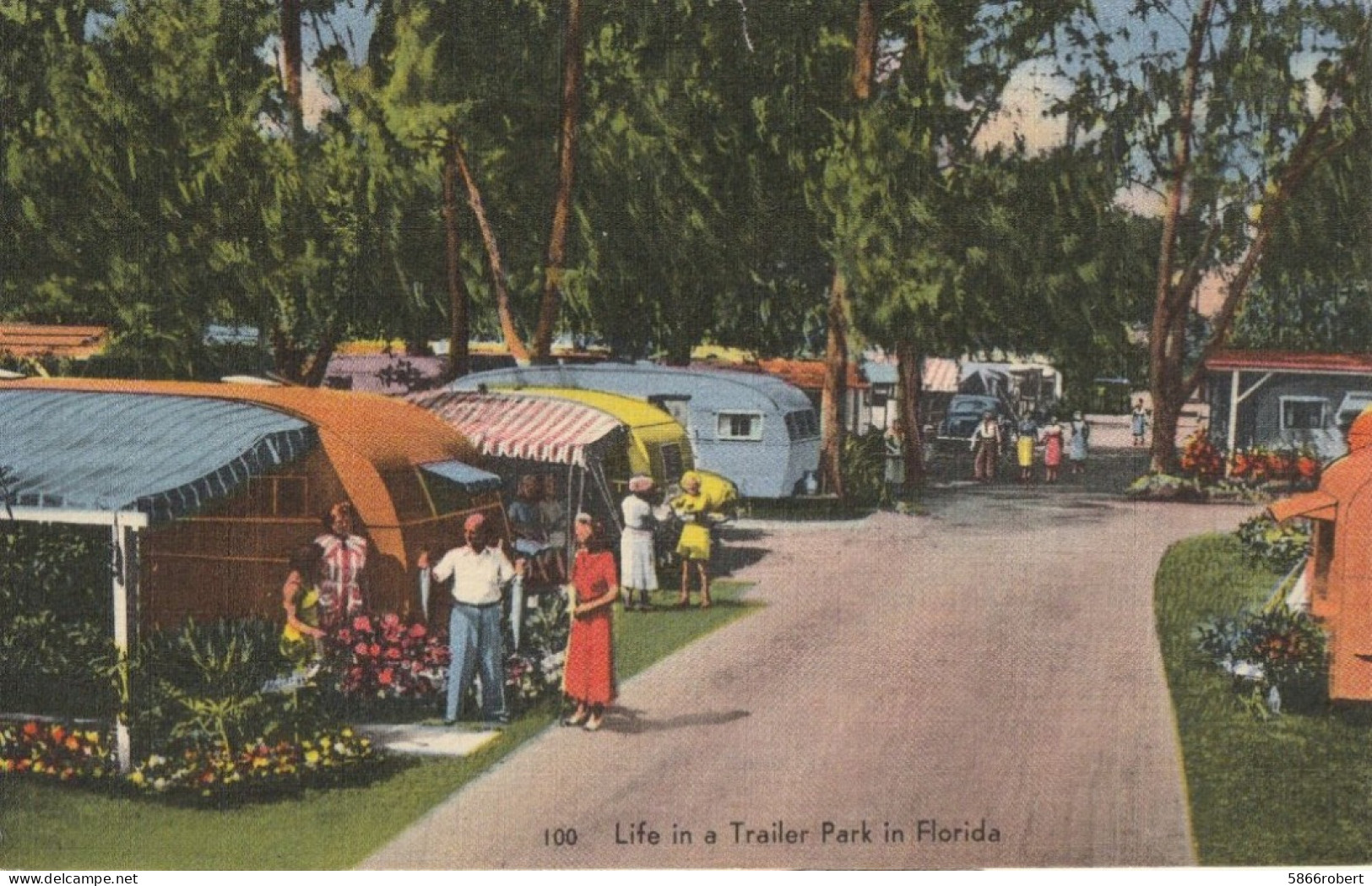 CARTE POSTALE ANCIENNE ORIGINALE COULEUR : LIFE IN A TRAILER PARK IN FLORIDA  ANIMEE ETATS UNIS - St Petersburg