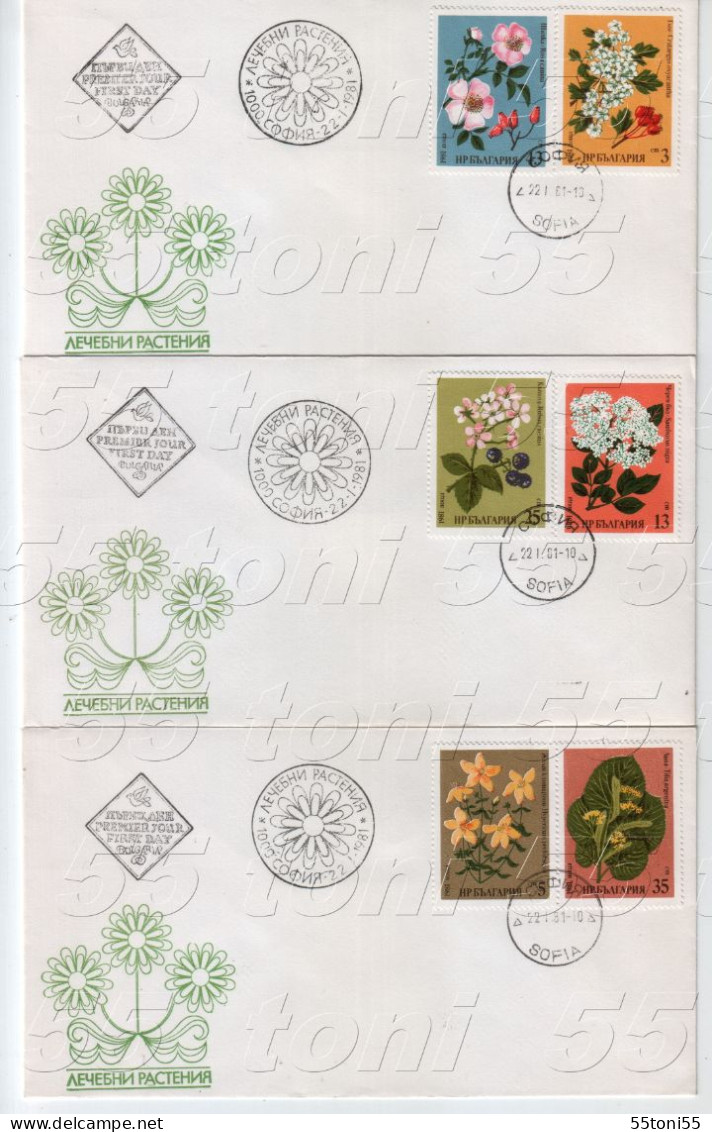 1981  Flora Medicinal Herbs 6v.-  3 FDC  BULGARIA /Bulgarie - FDC