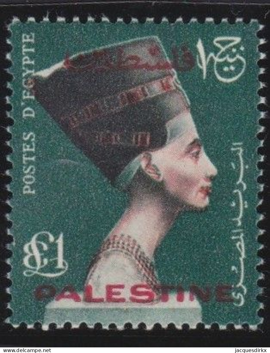 Palestine    .     Stamp  (2 Scans)  .    **       .     MNH - Palestine