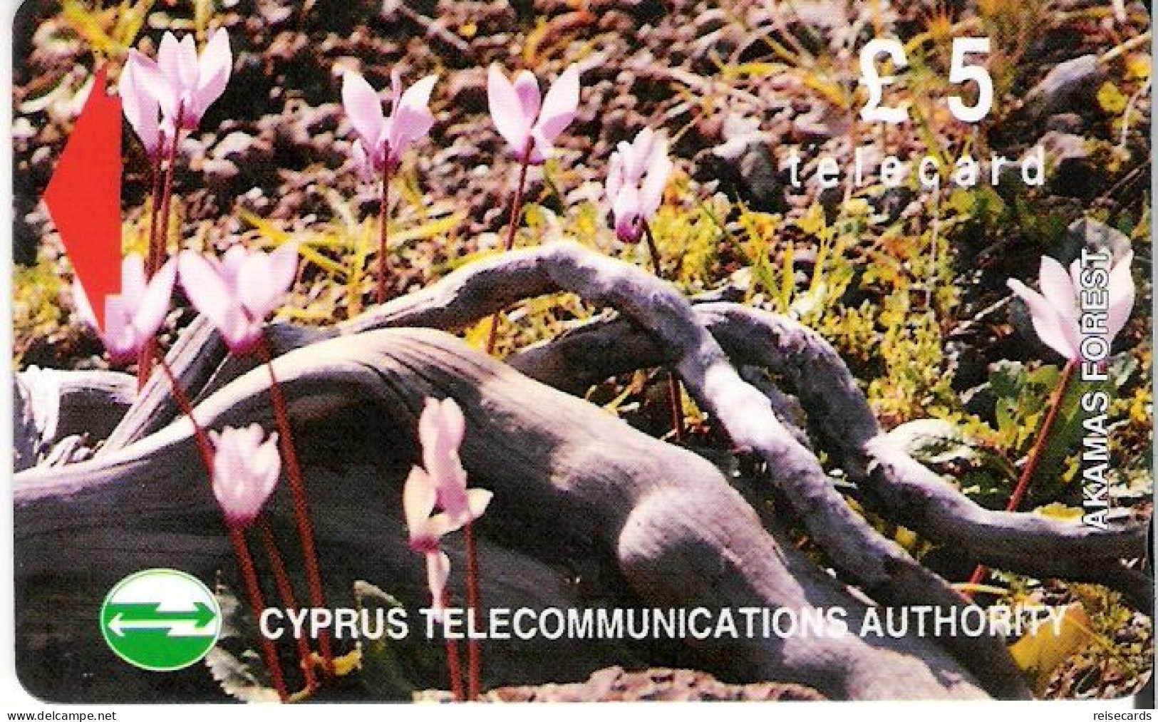 Cyprus: Cyta - Akamas Forest - Chipre