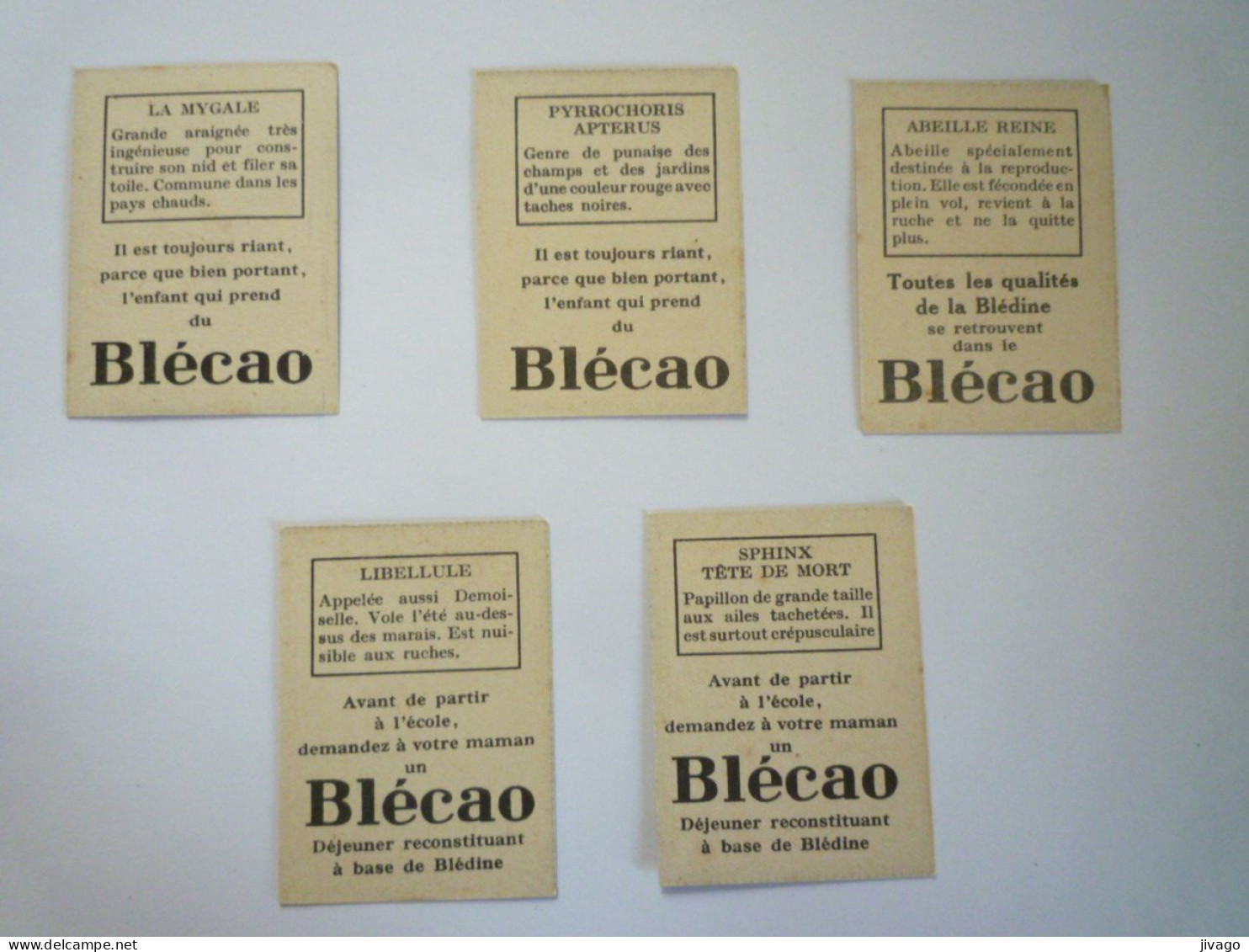 2023 - 3208  LOT De 5  BONS-POINTS  PUB  BLECAO   XXX - Non Classificati