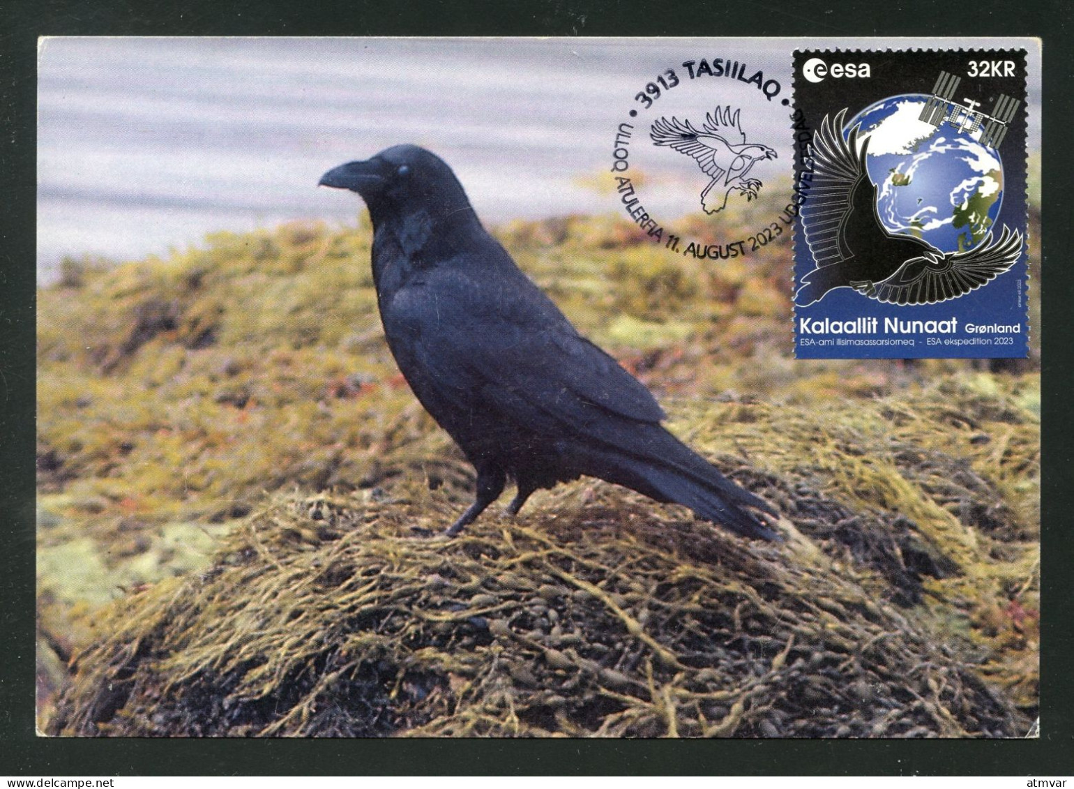 GREENLAND (2023) Carte Maximum Card - ESA Astronaut Andreas Mogensen To ISS, Corvus Corax, Grand Corbeau, Common Raven - Cartas Máxima