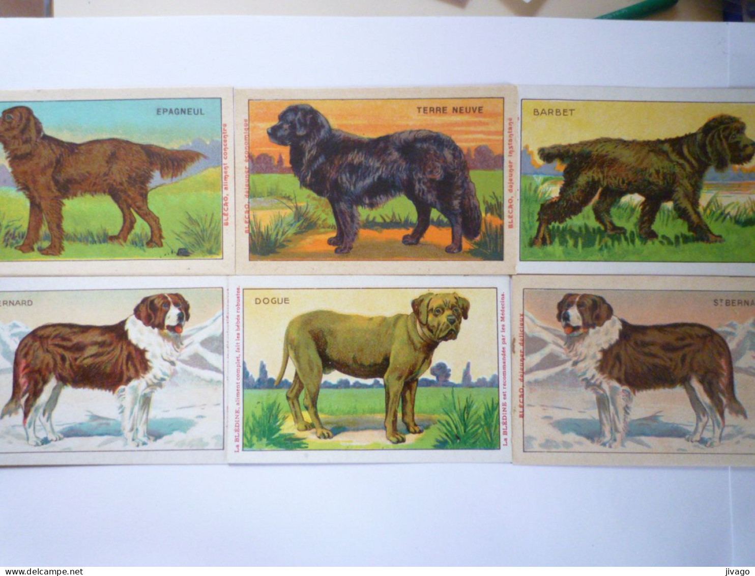 2023 - 3215  LOT De 5 IMAGES  PUB  "BLEDINE"   (CHIENS)   XXX - Non Classificati