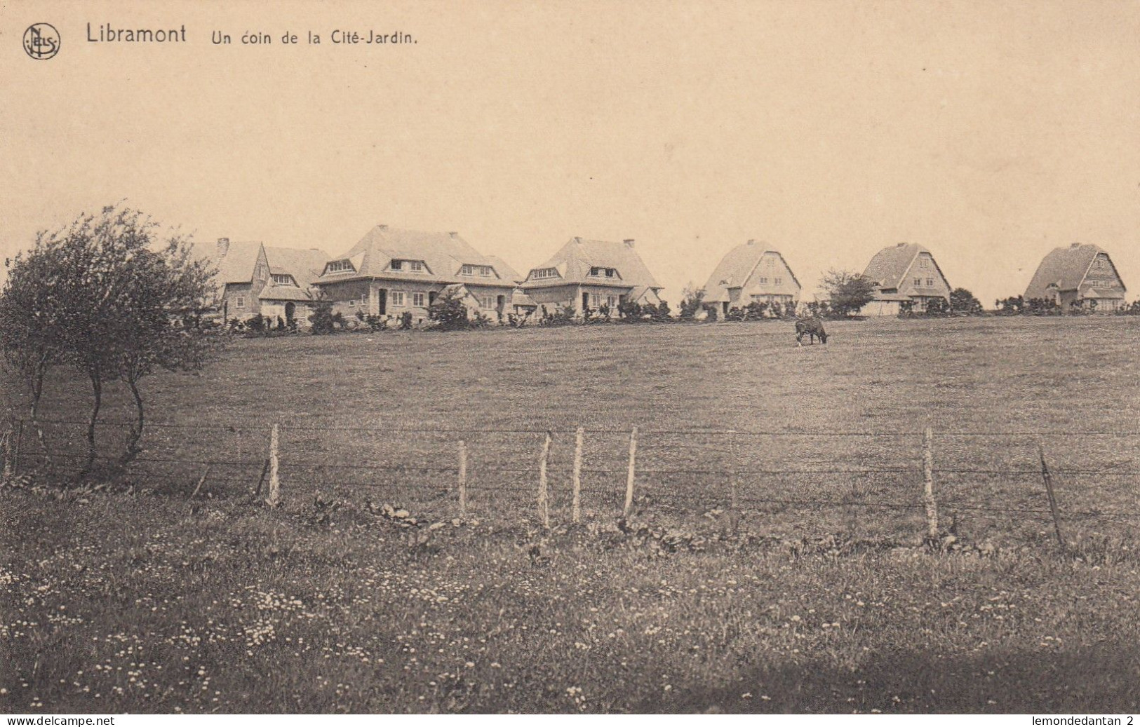 Libramont - Un Coin De La Cité-Jardin - Libramont-Chevigny