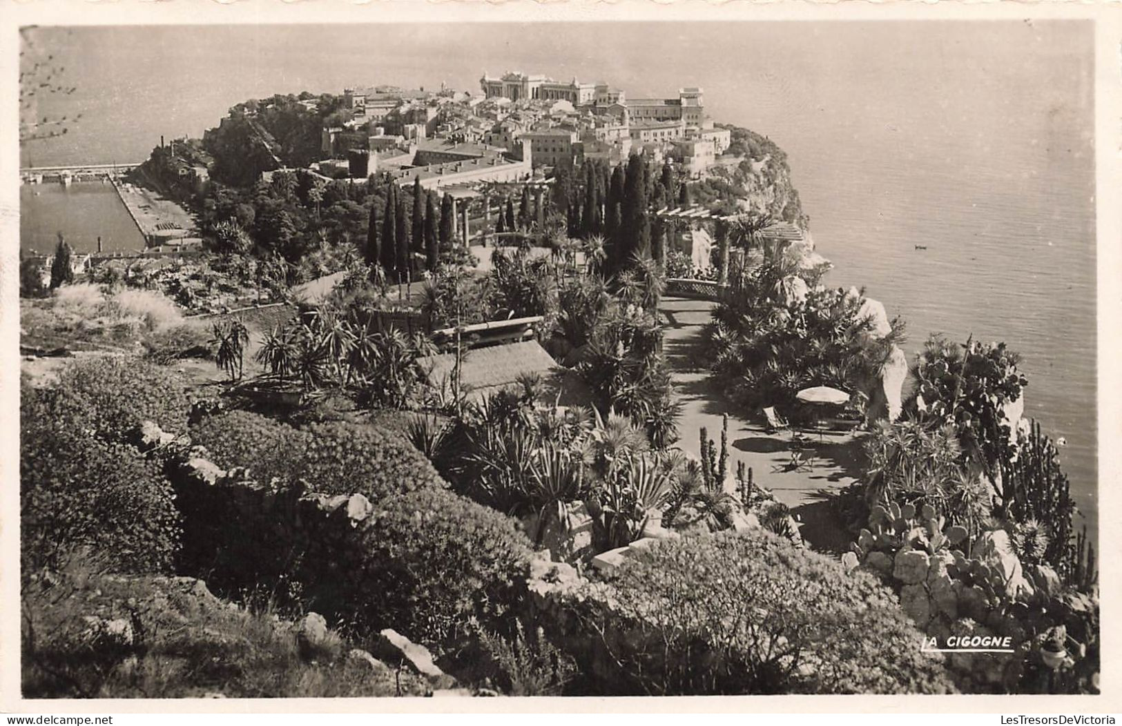 MONACO - Le Rocher Et Les Jardins Exotiques - Carte Postale - Giardino Esotico