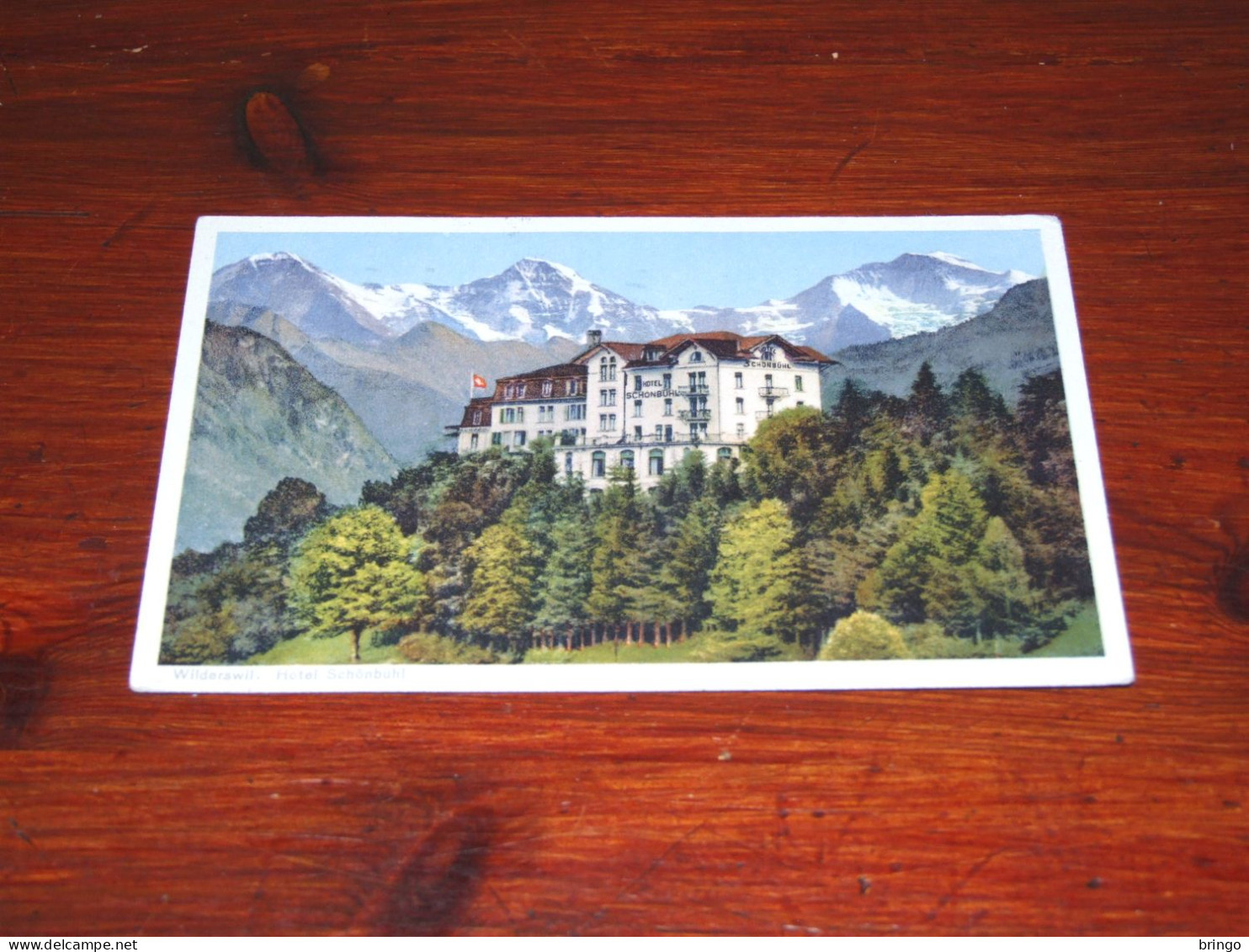 66608- SCHWEIZ, SUISSE, BERN, WILDERSWIL, HOTEL SCHÒNBÙHL - Wilderswil