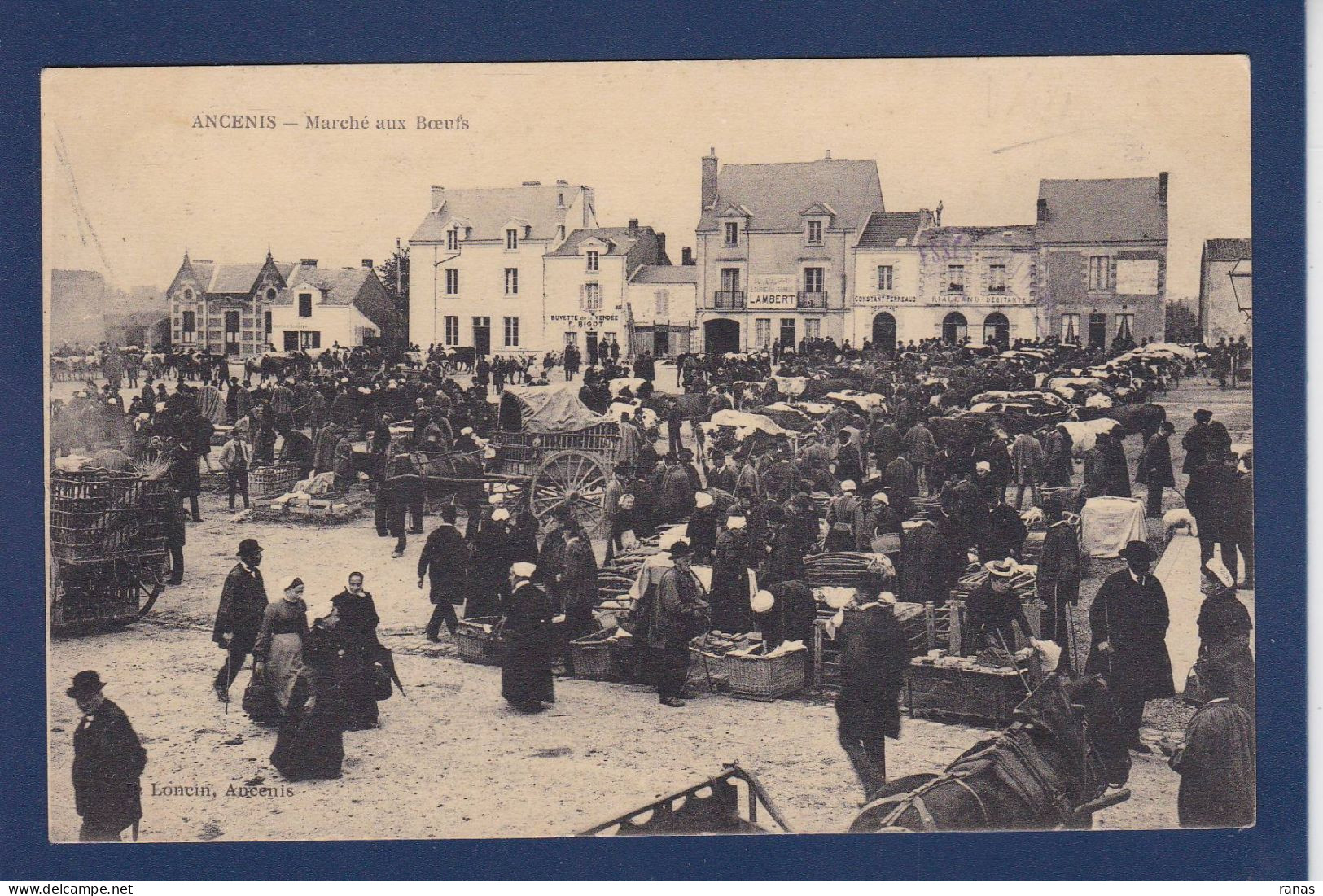 CPA [44] Loire Atlantique > Ancenis Marché Market écrite - Ancenis