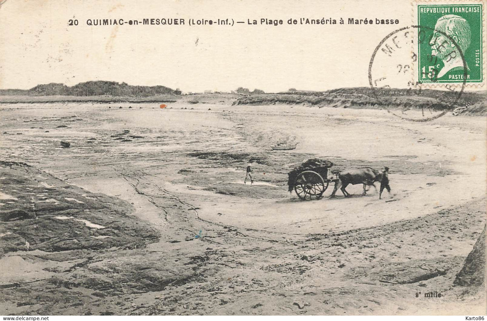 Quimiac En Mesquer * La Plage De L'anséria à Marée Basse * Ramassage Du Goémon * Attelage - Mesquer Quimiac