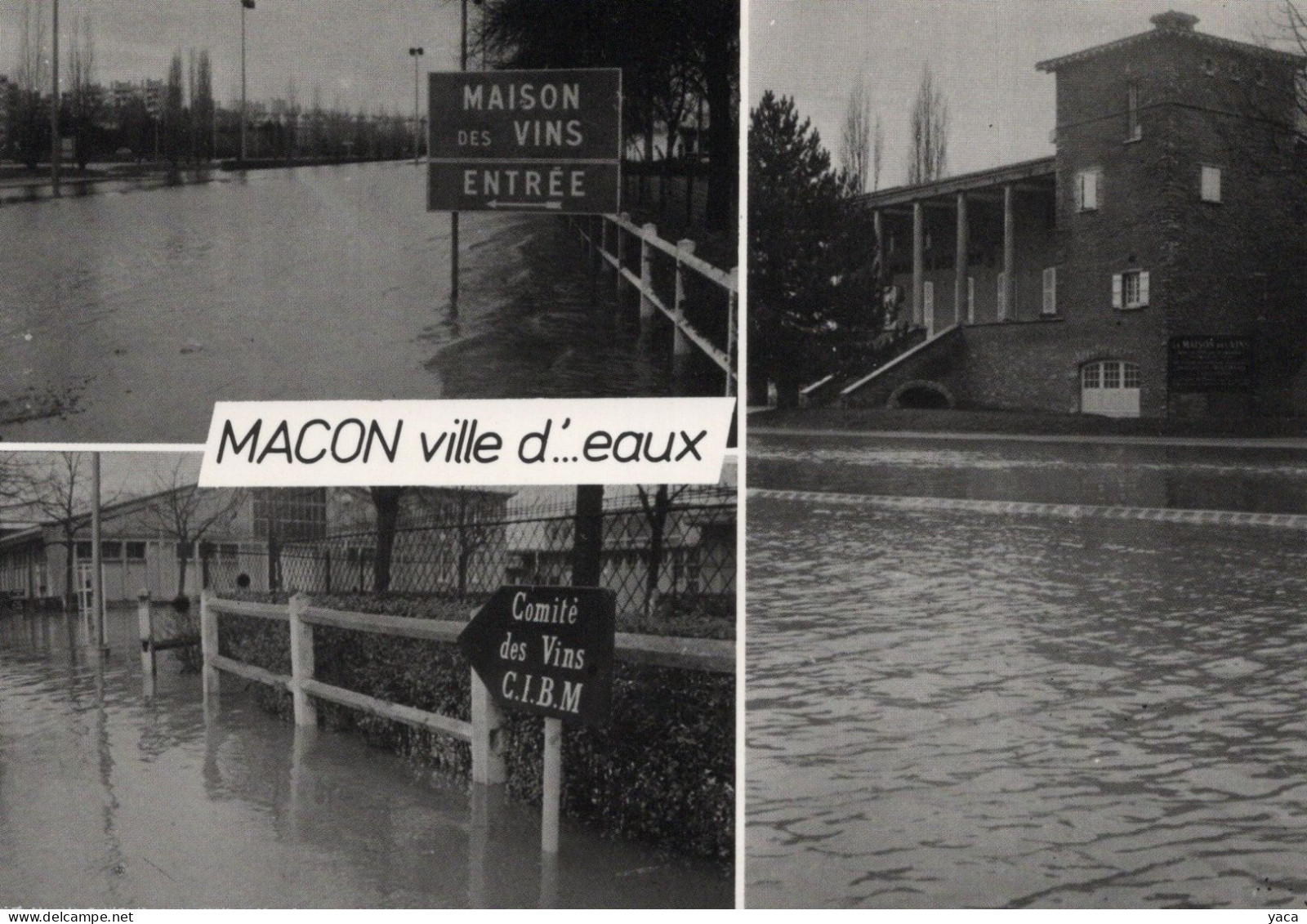 Macon  Ville D'...eaux - Inondations 1981 - Maison Des Vins - Inondations