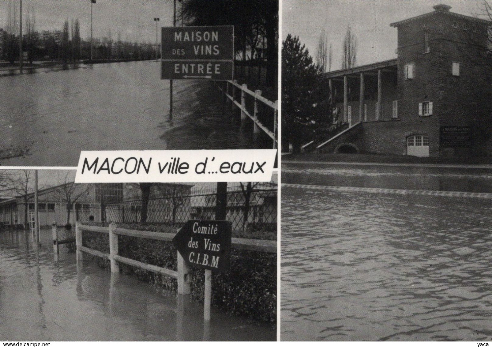 Macon  Ville D'...eaux - Inondations 1981 - Maison Des Vins - Floods