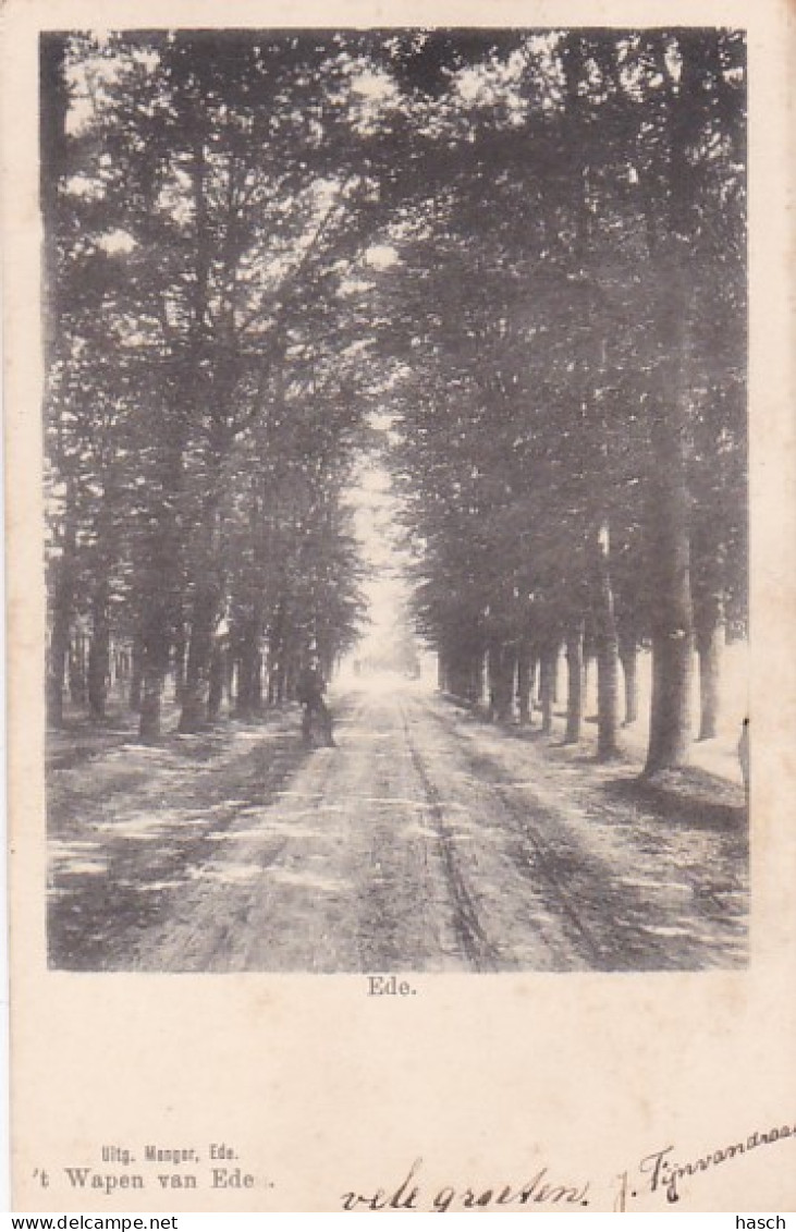 484614Ede, 't Wapen Van Ede Rond 1900.  - Ede