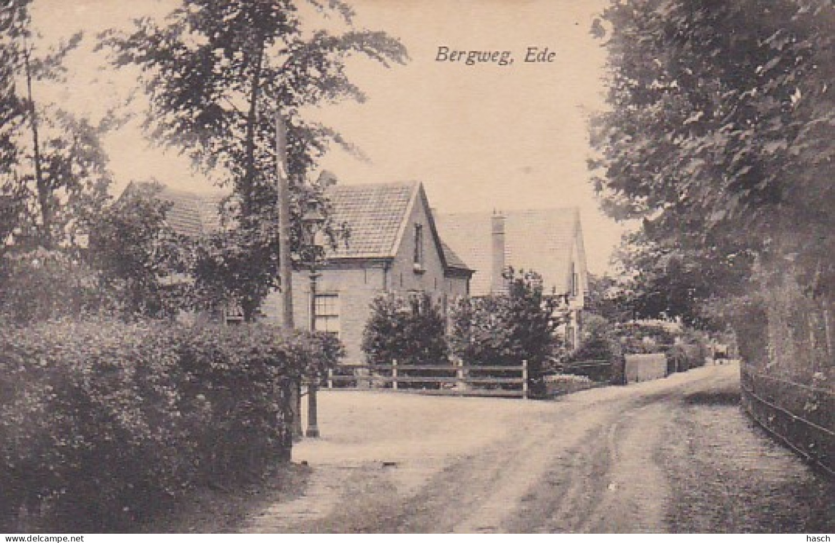 484616Ede, Bergweg 1918.(kleine Vouwen In De Hoeken) - Ede