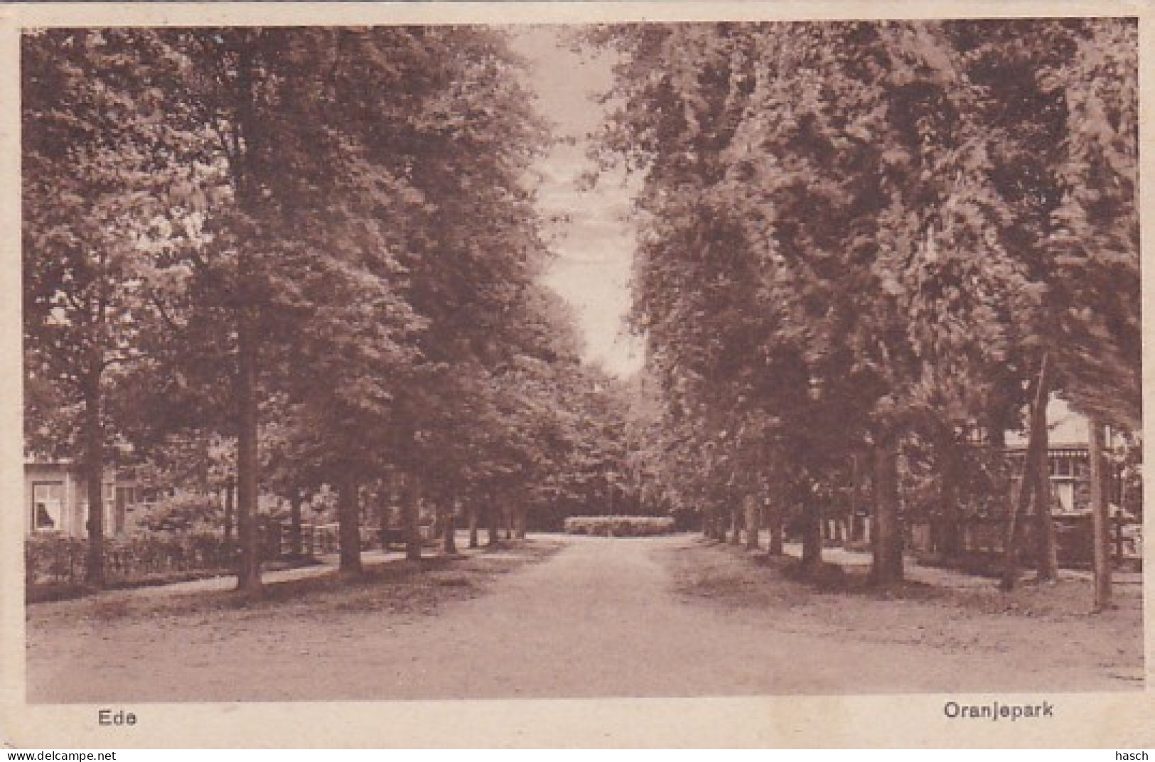 484618Ede, Oranjepark 1930. (minuscule Vouwen In De Hoeken) - Ede