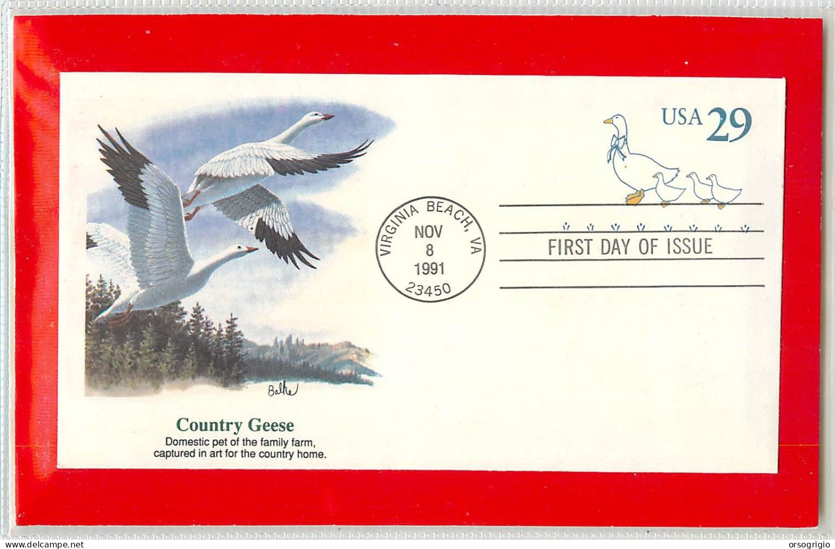 USA - Intero Postale - Ganzsachen - Stationery -  COUNTRY GEESE - 1981-00