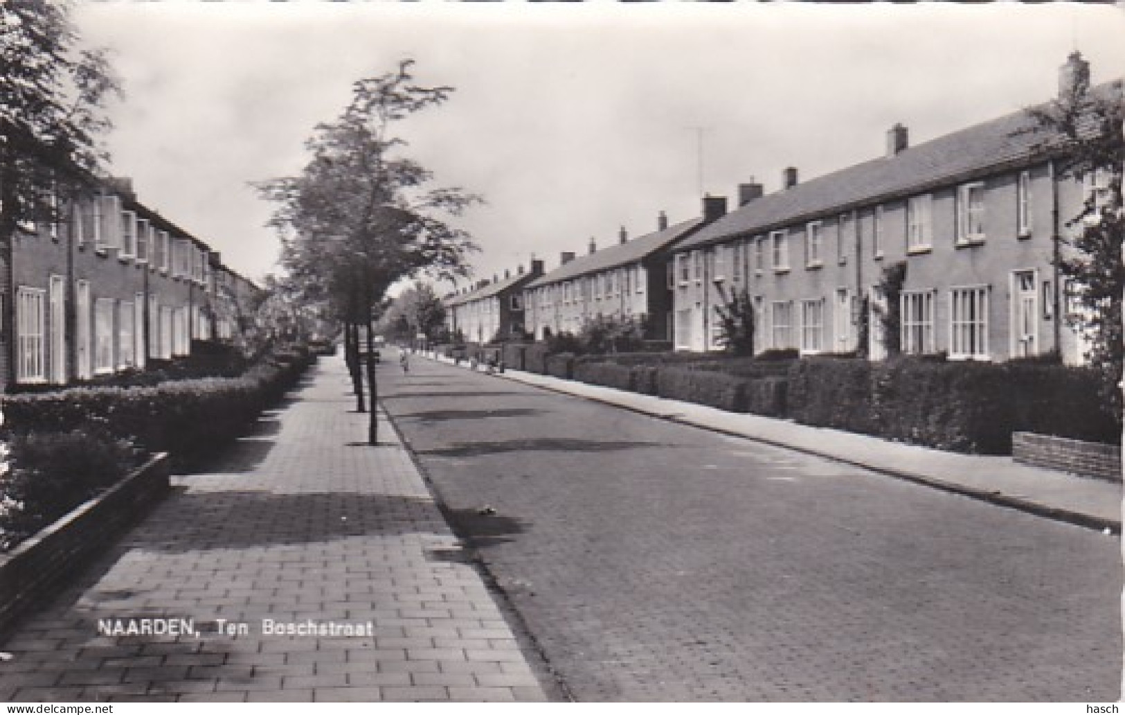 484557Naarden, Ten Boschstraat. (FOTOKAART) - Naarden