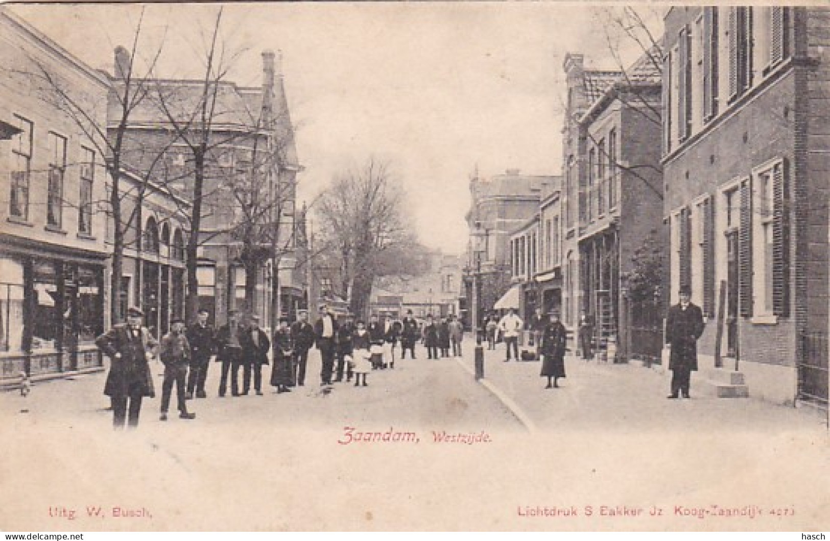 484591Zaandam, Westzijde 1902.  - Zaandam