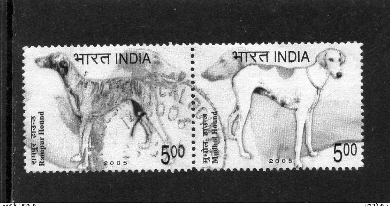 2005 India - Cani Razze Indiane - Gebraucht