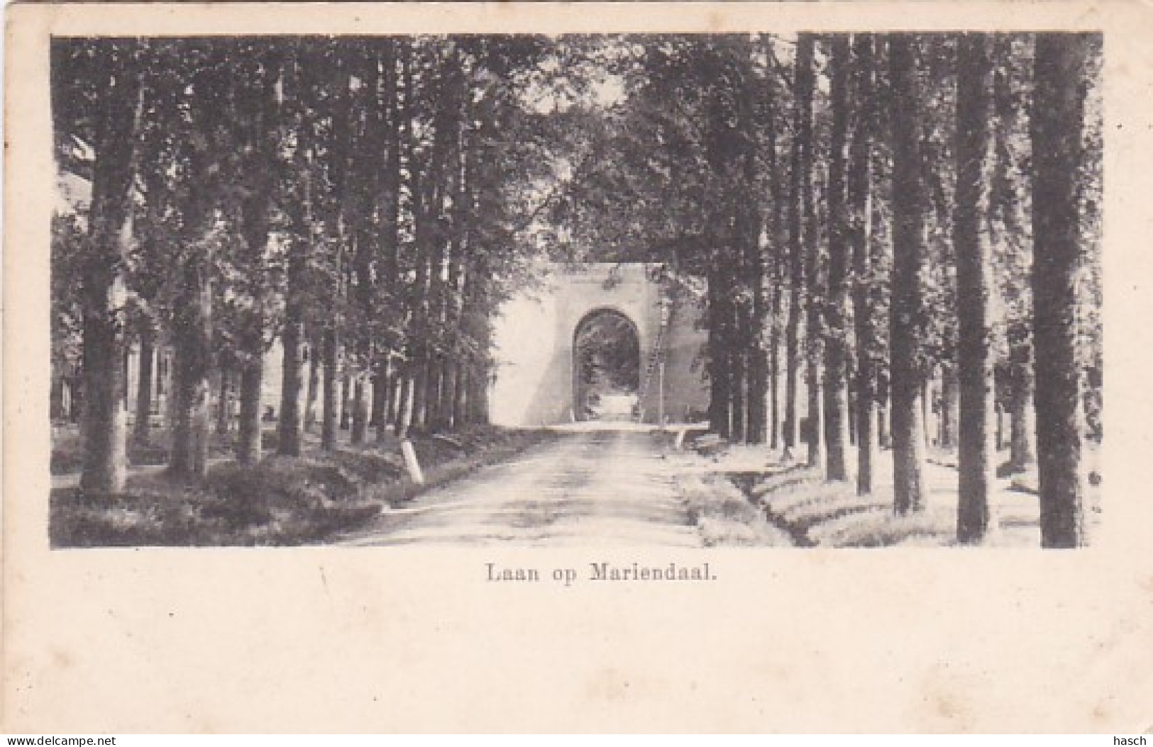 4844319Oosterbeek. Laan Op Mariëndaal Rond 1900. (zie Hoeken Achterkant) - Oosterbeek