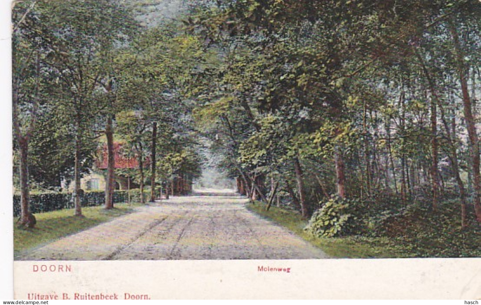 4844384Doorn, Molenweg. 1909. (zie Hoeken) - Doorn