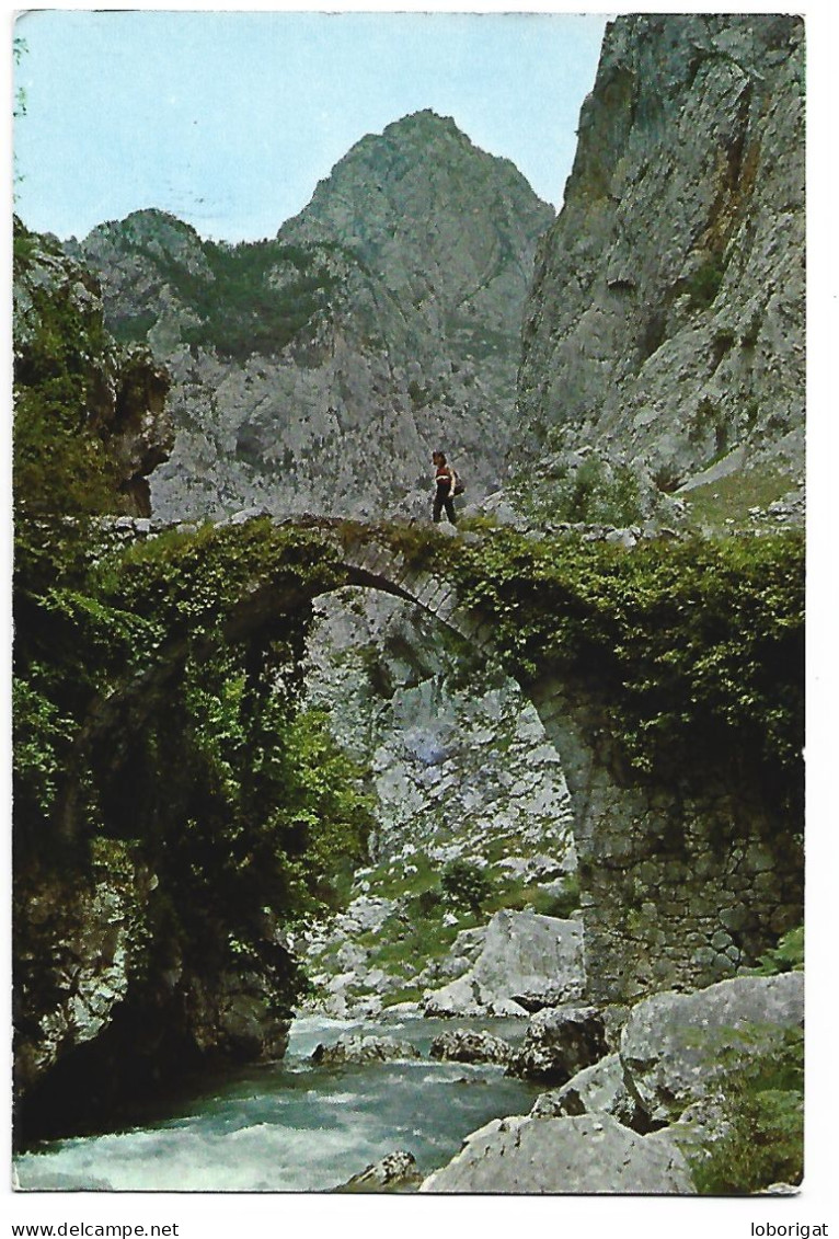 PUENTE DE LA JAYA SOBRE EL RIO CARES, CAMINO DE BULNES.- PICOS DE EUROPA.- BULNES - ASTURIAS.- ( ESPAÑA). - Asturias (Oviedo)