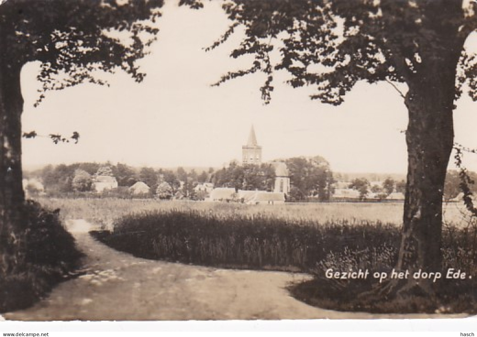 4844566Ede, Gezicht Op Het Dorp Ede. (FOTOKAART)(zie Hoeken) - Ede