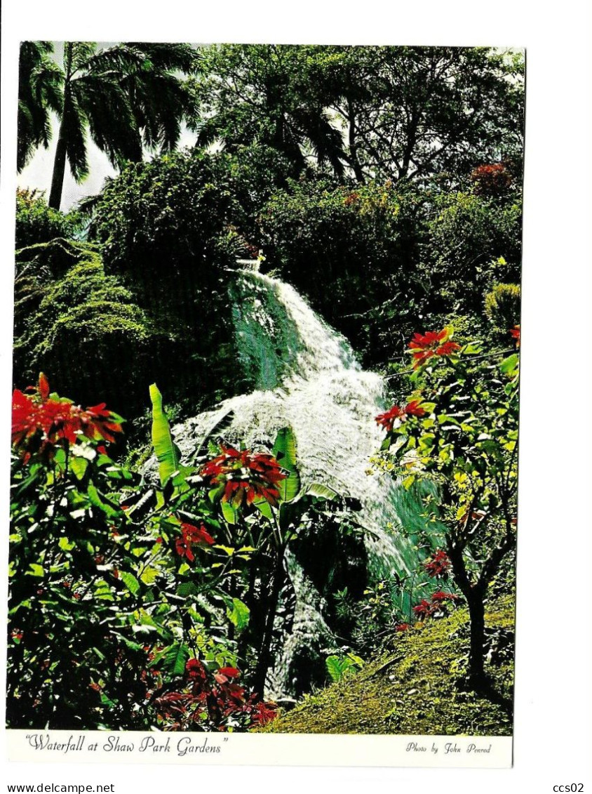 Waterfall At Shaw Park Garden Jamaica - Jamaïque