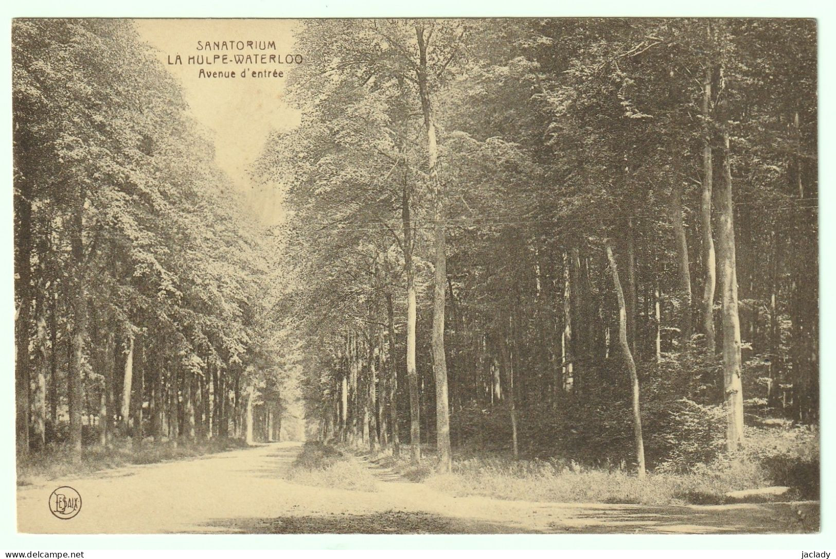 Sanatorium La Hulpe Waterloo -- Avenue D' Entrée.    (2 Scans) - La Hulpe