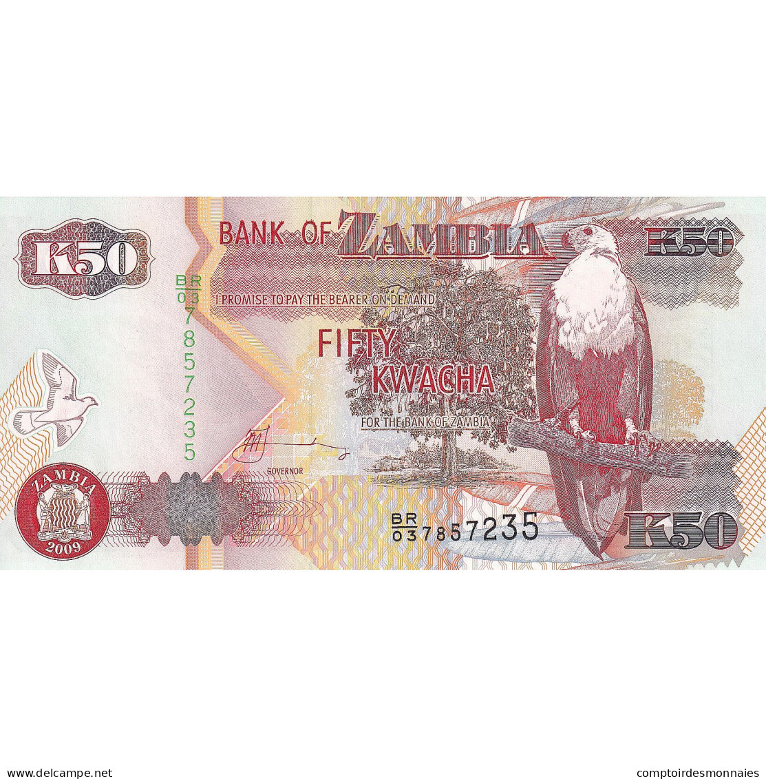 Billet, Zambie, 50 Kwacha, 2009, KM:37h, NEUF - Zambia