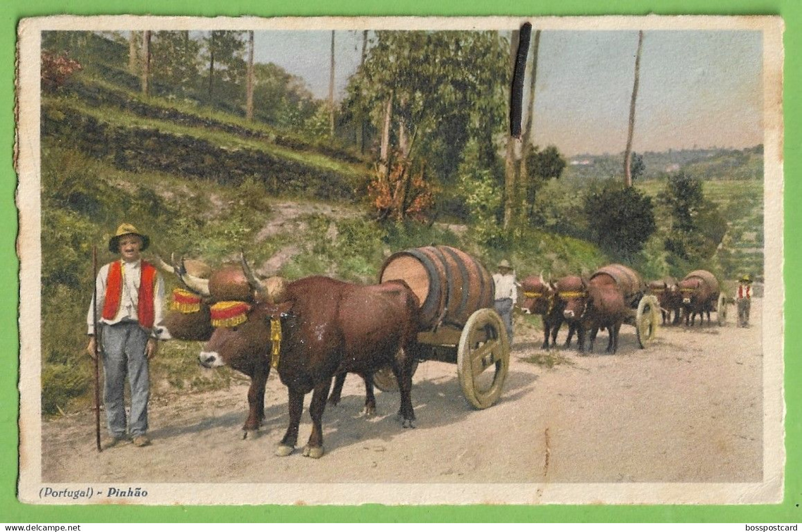 Pinhão - Carregando Vinho Do Porto - Costumes Portugueses - Ilustrador - Ilustração. Vila Real. Portugal. - Vila Real