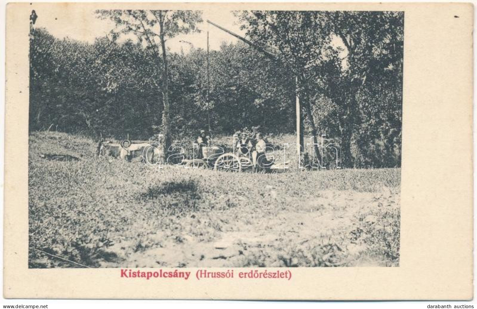 * T3/T4 1912 Kistapolcsány, Topolcianky; Hrussó Erdőrészlet. Brunczlik J. Kiadása / Hrusov Forest (Rb) - Ohne Zuordnung