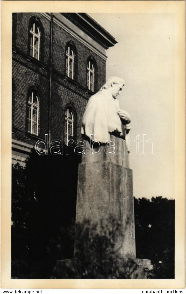 * T2 Ungvár, Uzshorod, Uzhhorod, Uzhorod; Dayka Gábor Szobra / Statue, Monument. Photo - Ohne Zuordnung