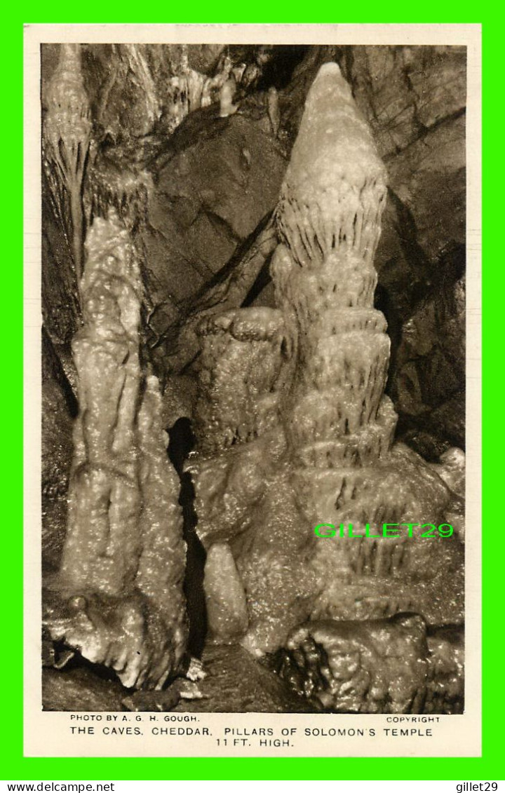 CHEDDAR, SOMERSET, UK - THE CAVES, PILLARS OF SOLOMON'S TEMPLE - PHOTO A. G. H. GOUGH - - Cheddar