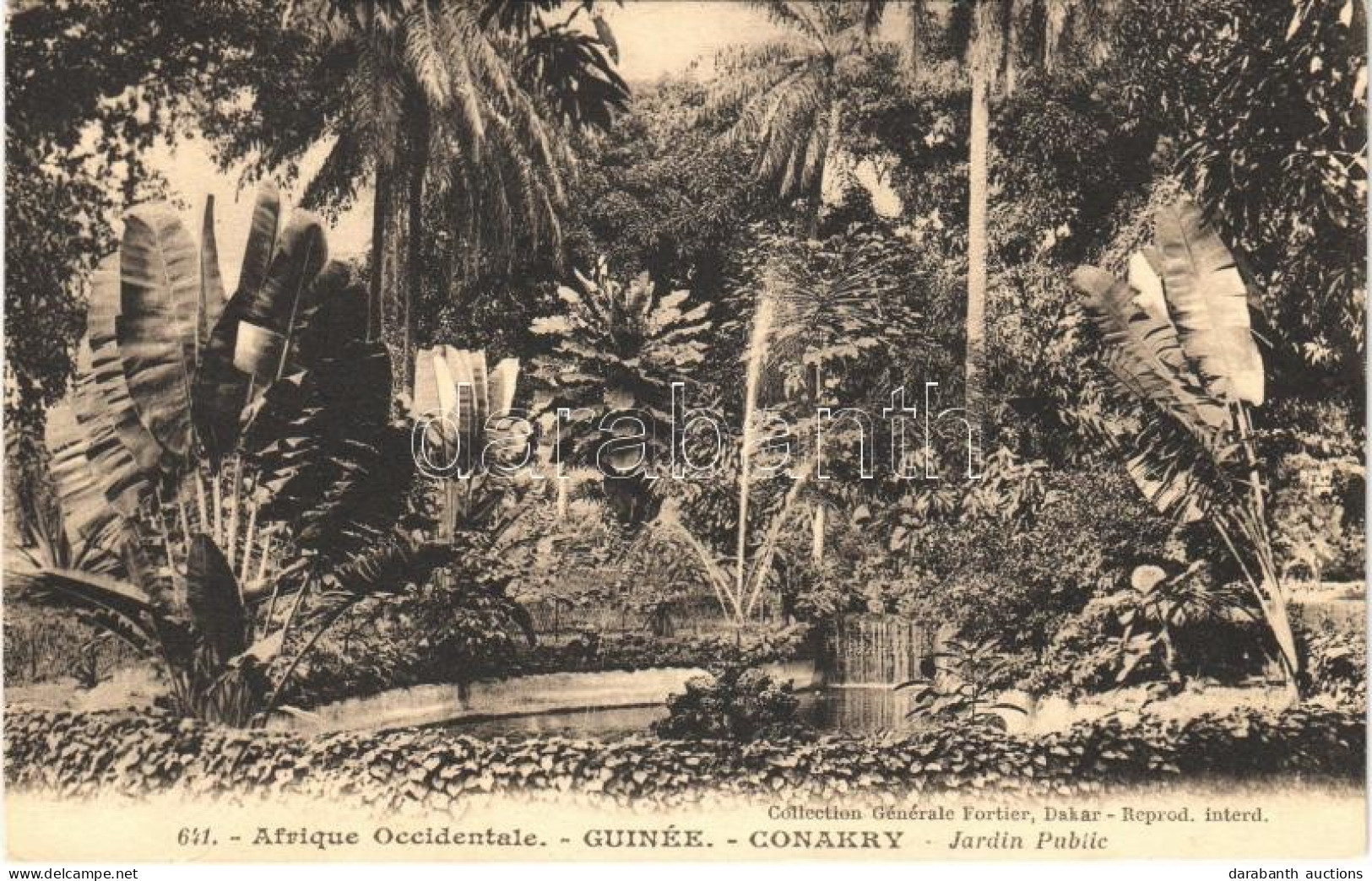 ** T1 Conakry, Jardin Public / Public Garden - Zonder Classificatie