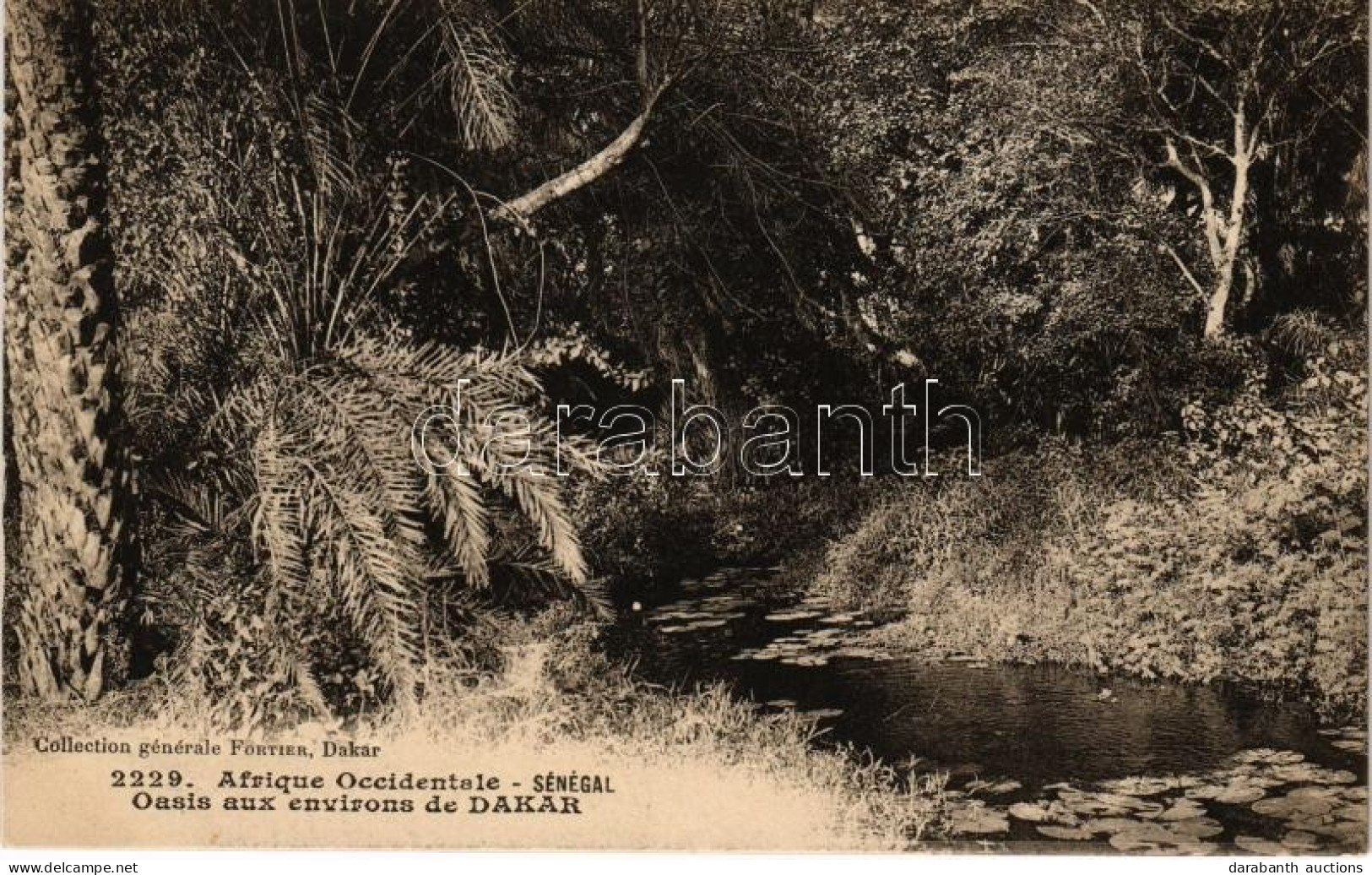 ** T1 Dakar, Oasis Aux Environs / Oasis - Ohne Zuordnung