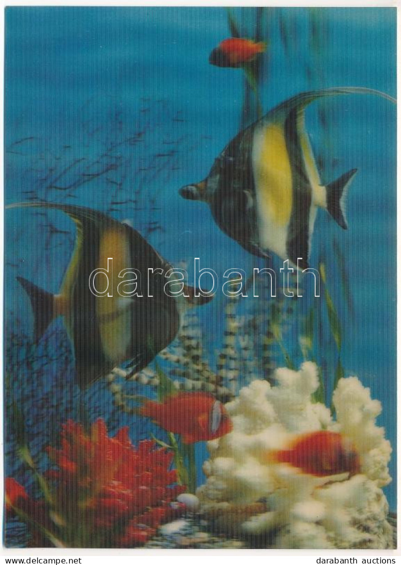 ** T1 Halak. 3D Dimenziós Képeslap / Fish - 3D Dimensional Modern Postcard - Non Classés