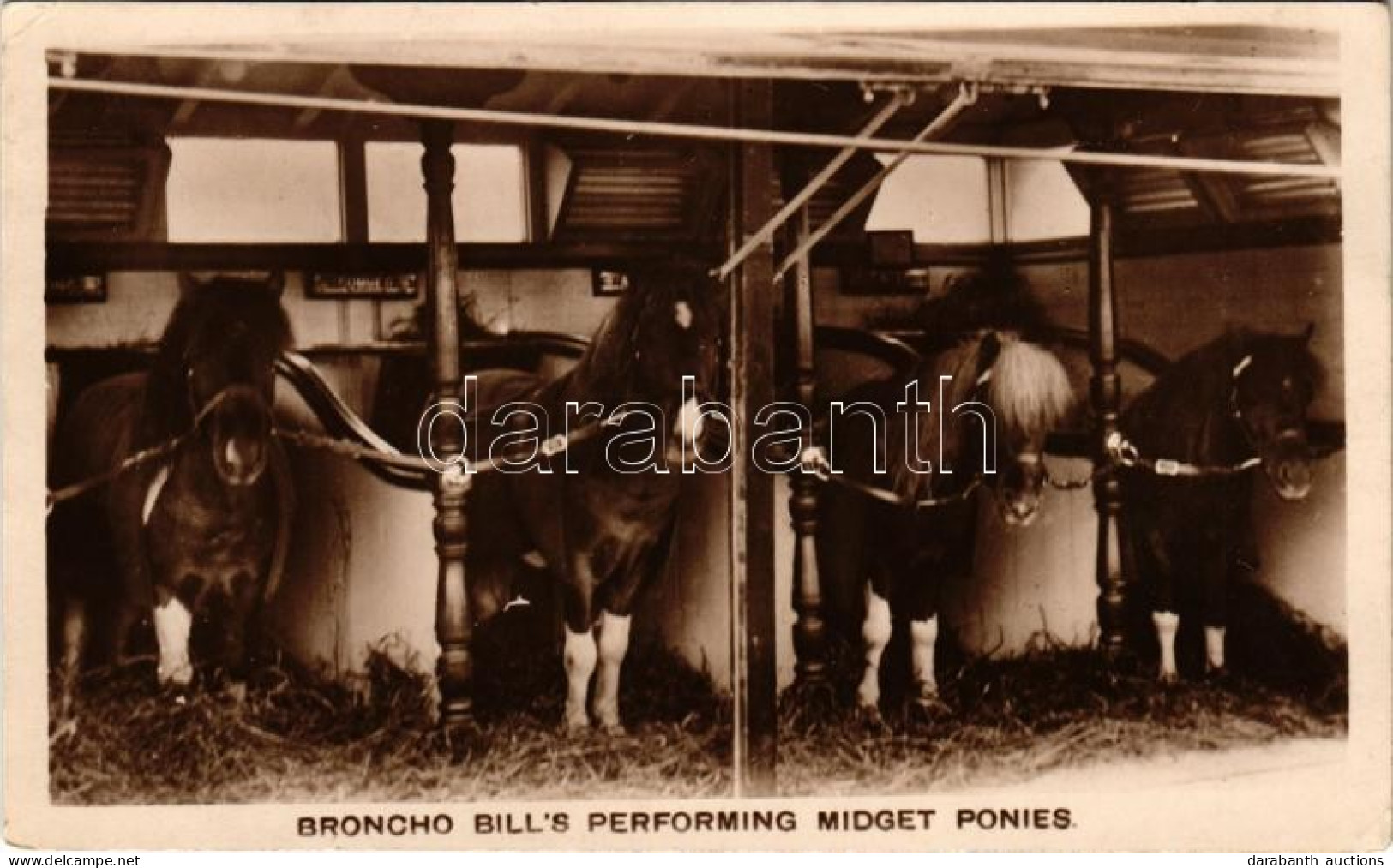 T2/T3 1929 Broncho Bill's Performing Midget Ponies (EK) - Unclassified