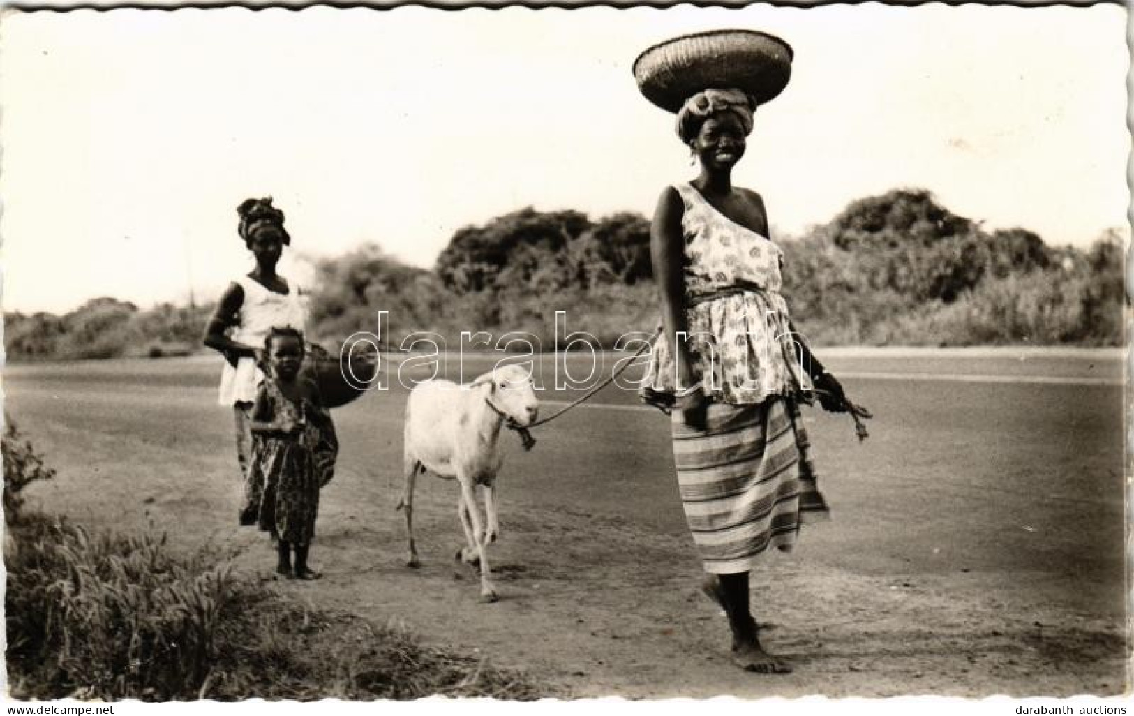 * T1 Afrique Noire, Départ Pour Le Marché / Native Girls, Goat, African Folklore, Photo - Non Classés