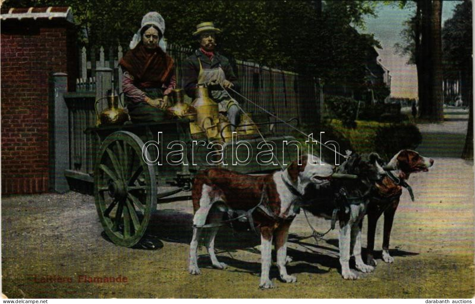 ** T2/T3 Laitiere Flamande / Flemish Dairy, Dutch Folklore, Dogs, Milk Seller's Cart Drawn By Dogs (EK) - Non Classés