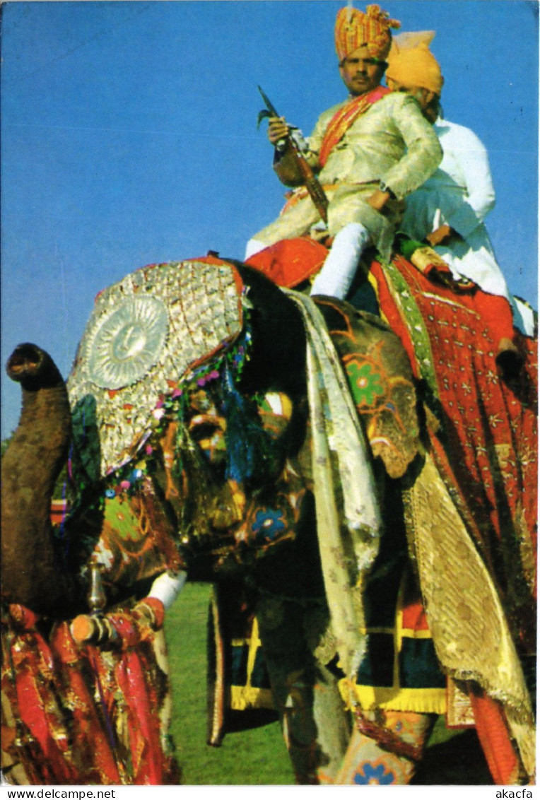 CPM Rajasthan Men Sitting On A Decorated Elephant INDIA (1182228) - Inde