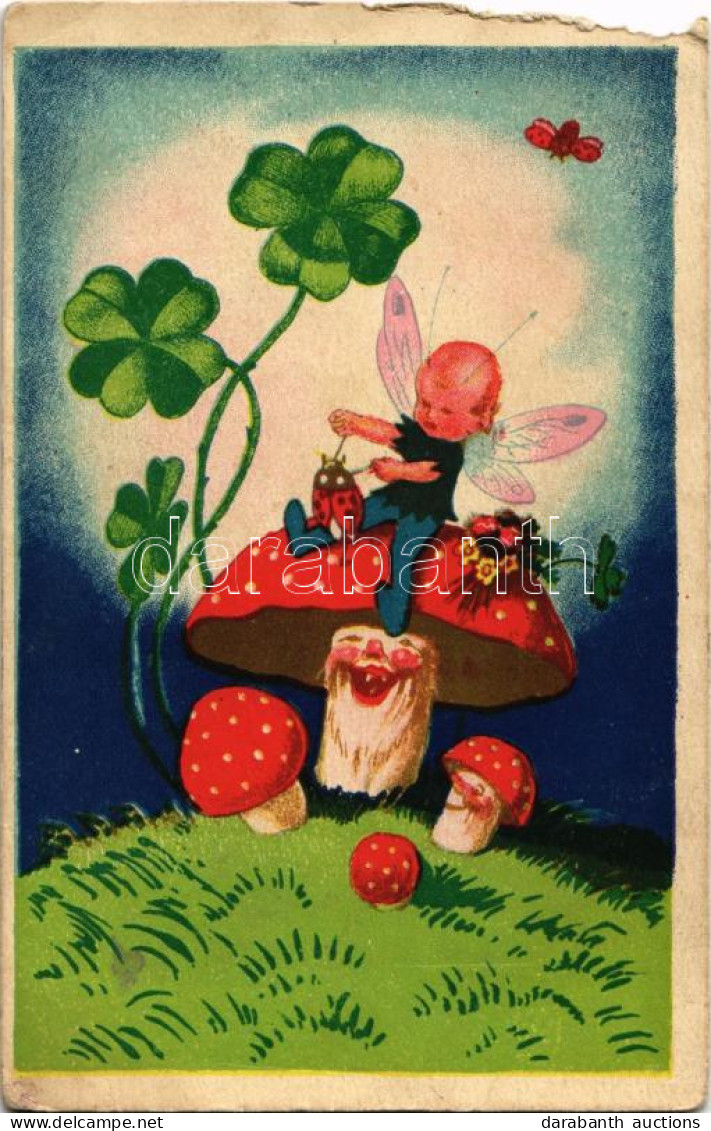 * T4 Lóherés Gombás Képeslap / Mushrooms With Fairy And Clovers (b) - Unclassified