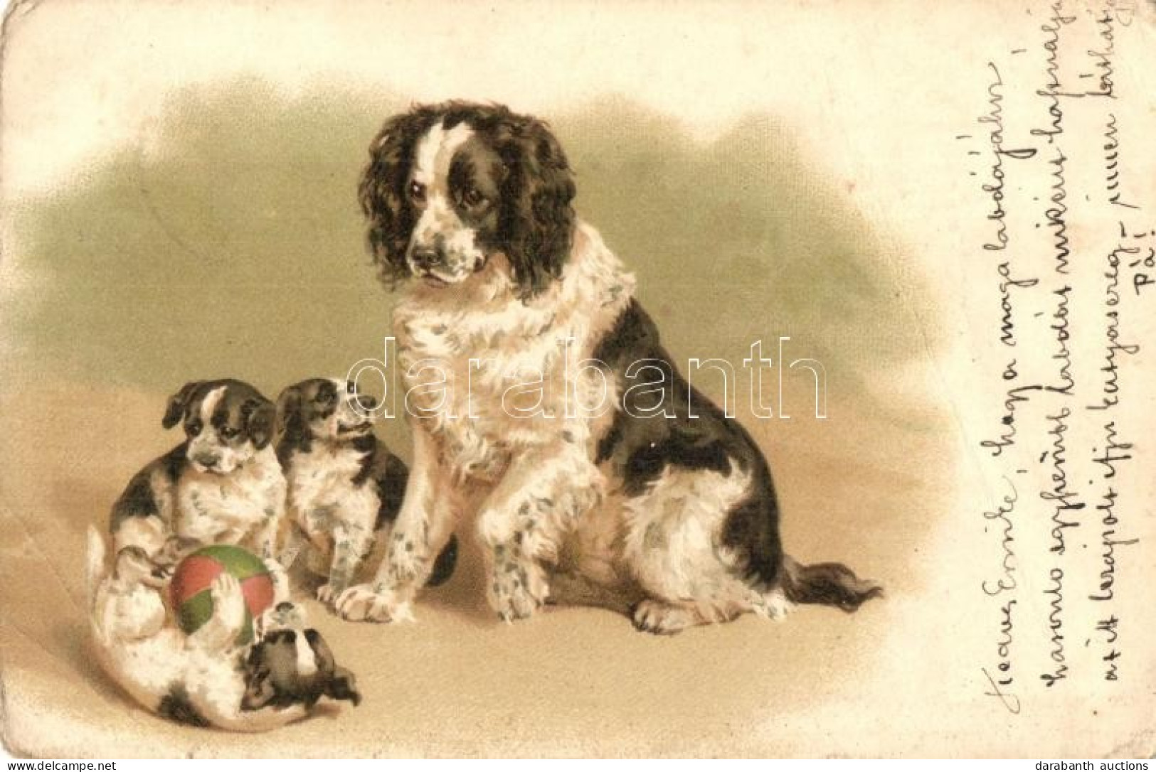 T3/T4 1899 Dog With Puppies, Litho (EB) - Ohne Zuordnung