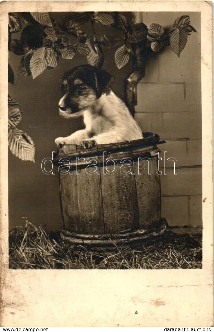 ** T3 Dog In Barrel, Amag No. 67/99/1 (fl) - Ohne Zuordnung