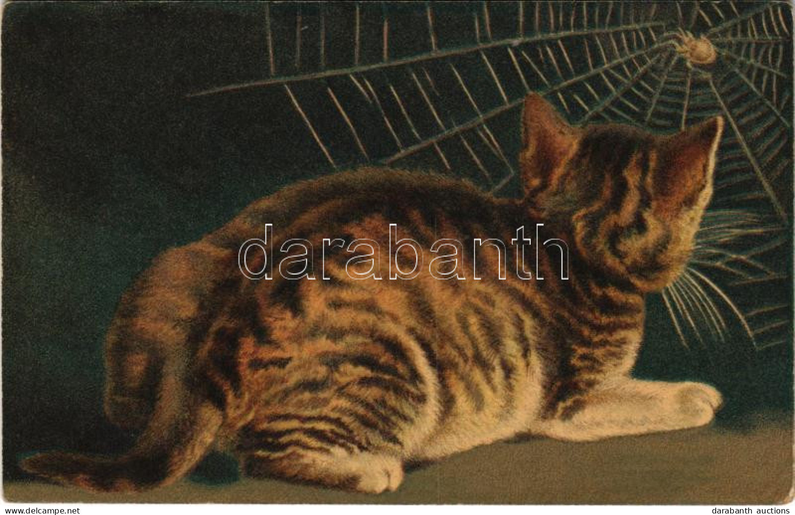 T2/T3 1915 Cat With Spider And Spider Web. Wenau-Pastell No. 606. + "K.u.K. Ausbildungs-Gruppe Des XXV. Korps Bahnhofkom - Ohne Zuordnung